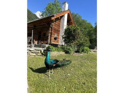 Apartment Romantikhütte - Outdoor photo 21