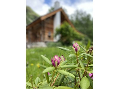 Apartment Romantikhütte - Features photo 32