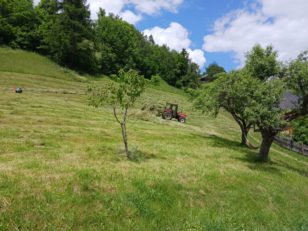 Apartment Ferienwohnung am Biohof - Outdoor photo 3