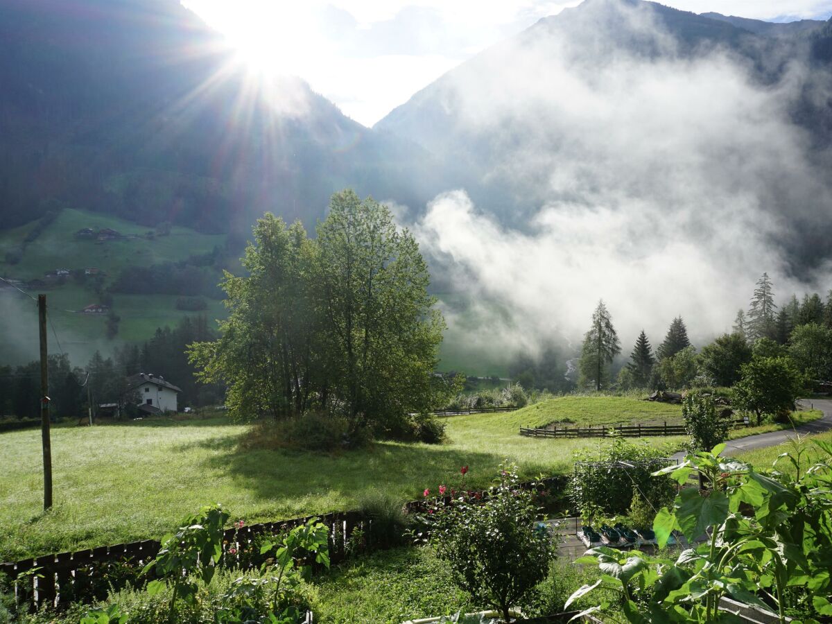 Apartment Ferienwohnung am Biohof - Outdoor photo 4