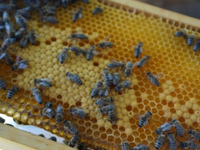 Apartment Ferienwohnung am Biohof - Outdoor photo 6