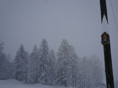 Apartment Ferienwohnung am Biohof - Outdoor photo 7