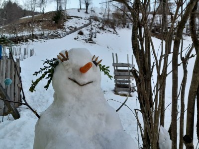 Apartment Ferienwohnung am Biohof - Outdoor photo 9