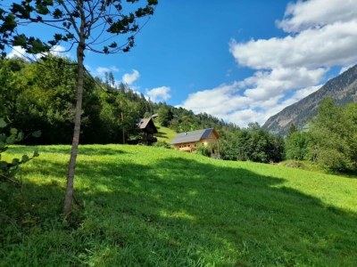 Apartment Ferienwohnung am Biohof - Outdoor photo 11