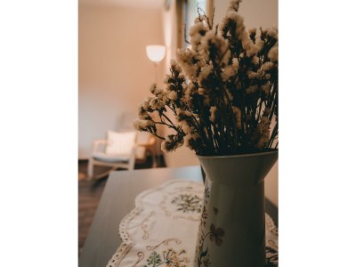 Apartment Ferienwohnung am Biohof - Features photo 17