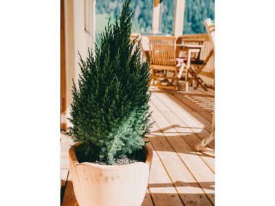 Apartment Ferienwohnung am Biohof - Features photo 37