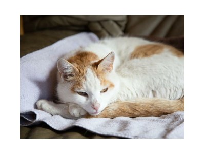 Holiday room Familienzimmer mit 2 Schlafräumen - Outdoor photo 19