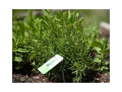 Holiday room Familienzimmer mit 2 Schlafräumen - Outdoor photo 25