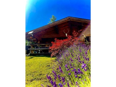 Apartment Appartement/Fewo, Dusche und Bad, WC, ruhig - Outdoor photo 31