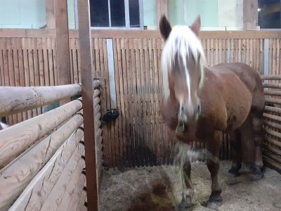 Apartment Appartement/Fewo, Dusche, WC, ruhig - Outdoor photo 9