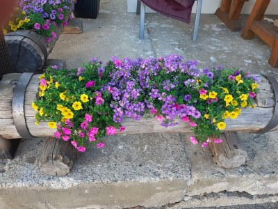 Apartment Appartement/Fewo, Dusche, WC, ruhig - Features photo 47