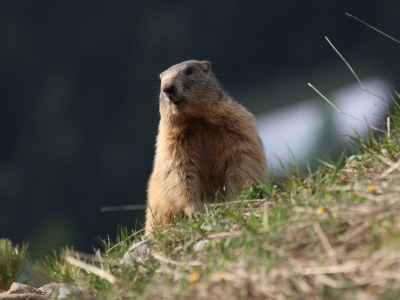 Apartment Appartement/Fewo, Dusche, WC, 1 Schlafraum - Outdoor photo 24