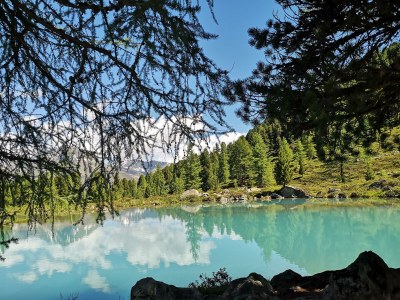 Apartment Appartement/Fewo, Dusche, WC, 1 Schlafraum - Outdoor photo 27