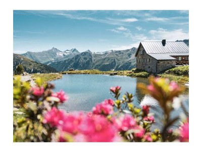 Apartment Appartement/Fewo, Dusche, WC, 1 Schlafraum - Outdoor photo 29