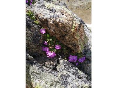 Apartment Appartement/Fewo, Dusche, WC, 1 Schlafraum - Outdoor photo 30