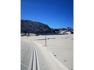 Apartment Appartement/Fewo, Dusche, WC, 1 Schlafraum - Outdoor photo 33