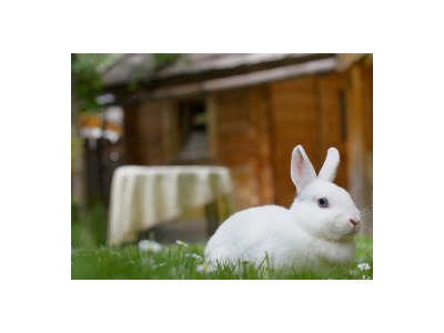 Holiday room Doppelzimmer - Outdoor photo 8