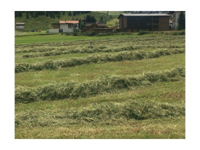 Apartment Appartement „Top 2“ - Features photo 73