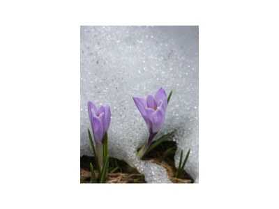 Apartment Appartement/Fewo, Dusche, WC, 3 Schlafräume - Outdoor photo 6