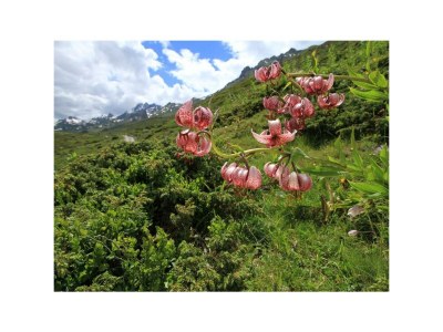 Apartment Appartement/Fewo, Dusche, WC, 3 Schlafräume - Outdoor photo 9