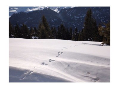 Apartment AP Sandra /2 Schlafräume/Dusche, WC - Outdoor photo 8