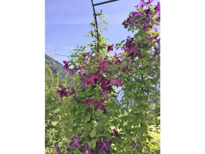 Apartment AP Sandra /2 Schlafräume/Dusche, WC - Outdoor photo 28