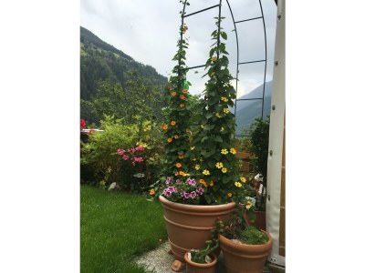 Apartment AP Sandra /2 Schlafräume/Dusche, WC - Outdoor photo 30