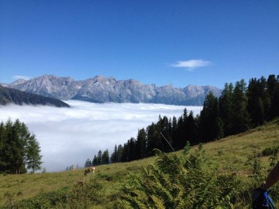 Apartment AP Sandra /2 Schlafräume/Dusche, WC - Outdoor photo 34