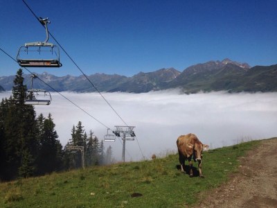 Apartment AP Sandra /2 Schlafräume/Dusche, WC - Outdoor photo 36