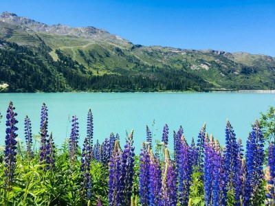 Apartment AP Sandra /2 Schlafräume/Dusche, WC - Outdoor photo 39