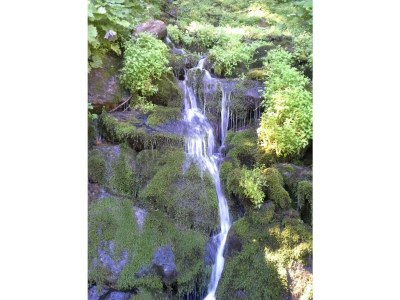 Apartment AP Sandra /2 Schlafräume/Dusche, WC - Outdoor photo 43