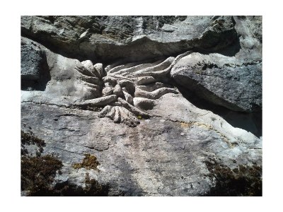 Apartment AP Sandra /2 Schlafräume/Dusche, WC - Outdoor photo 45