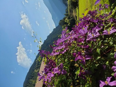 Apartment AP Sandra /2 Schlafräume/Dusche, WC - Outdoor photo 52