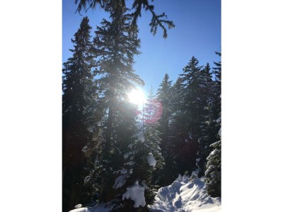 Apartment AP Sandra /2 Schlafräume/Dusche, WC - Outdoor photo 56