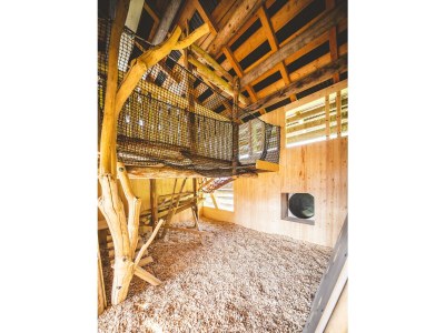 Holiday room Stadl Chalets mit Frühstück - Outdoor photo 21