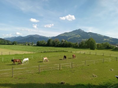 Apartment Apartment Kaiserblick - 1 Schlafraum - Outdoor photo 7