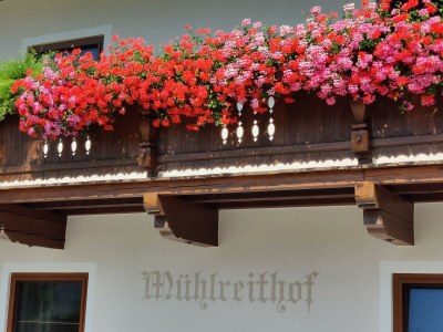 Apartment Apartment Wilder Kaiser - Outdoor photo 2