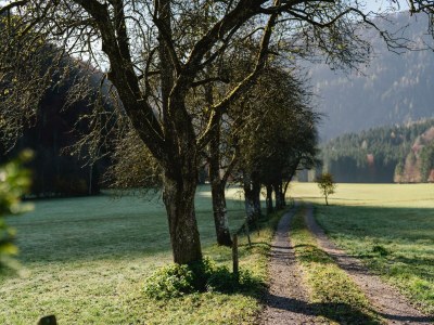 Holiday room Doppelzimmer Birgei - Outdoor photo 4