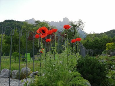 Holiday room Doppelzimmer Birgei - Outdoor photo 11