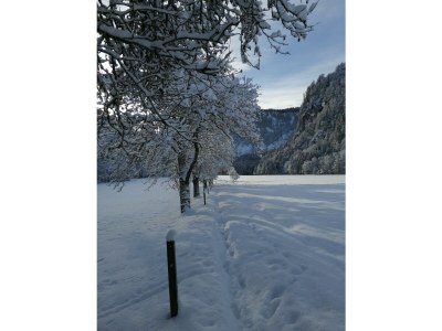 Holiday room Doppelzimmer Birgei - Outdoor photo 19