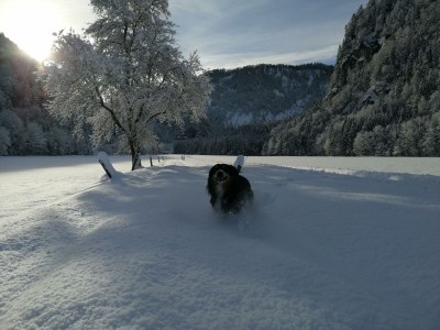 Holiday room Doppelzimmer Birgei - Outdoor photo 20