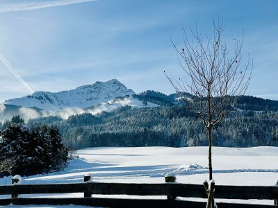 Apartment Appartement/Fewo, Dusche, WC, Balkon in St. Johann in Tirol - Apartment