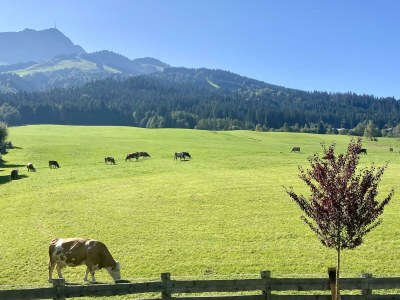 Apartment Appartement/Fewo, Dusche, WC, Balkon - Outdoor photo 8