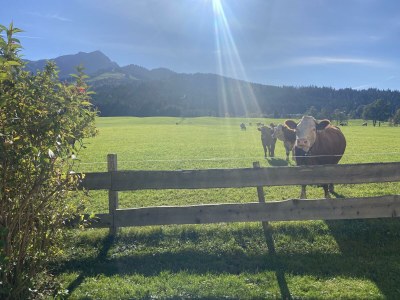 Apartment Appartement/Fewo, Dusche, WC, Balkon - Outdoor photo 11