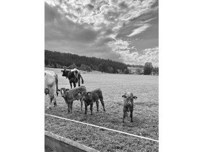 Apartment Appartement/Fewo, Dusche, WC, Balkon - Outdoor photo 12