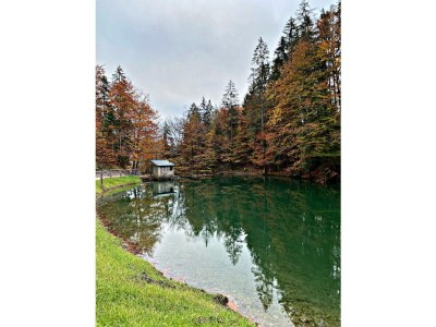 Apartment Appartement/Fewo, Dusche, WC, 1 Schlafraum - Outdoor photo 6