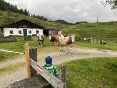 Apartment Appartement/Fewo, Dusche, WC, 1 Schlafraum - Outdoor photo 11