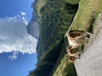 Apartment Appartement/Fewo, Dusche, WC, 1 Schlafraum - Outdoor photo 13