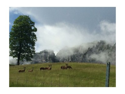 Apartment Appartement/Fewo, Kaiser - Outdoor photo 7