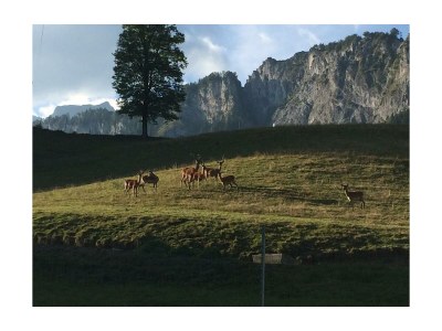 Apartment Appartement/Fewo, Kaiser - Outdoor photo 8